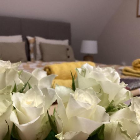 אטייק Apartments For Rent Near Budapest מראה חיצוני תמונה