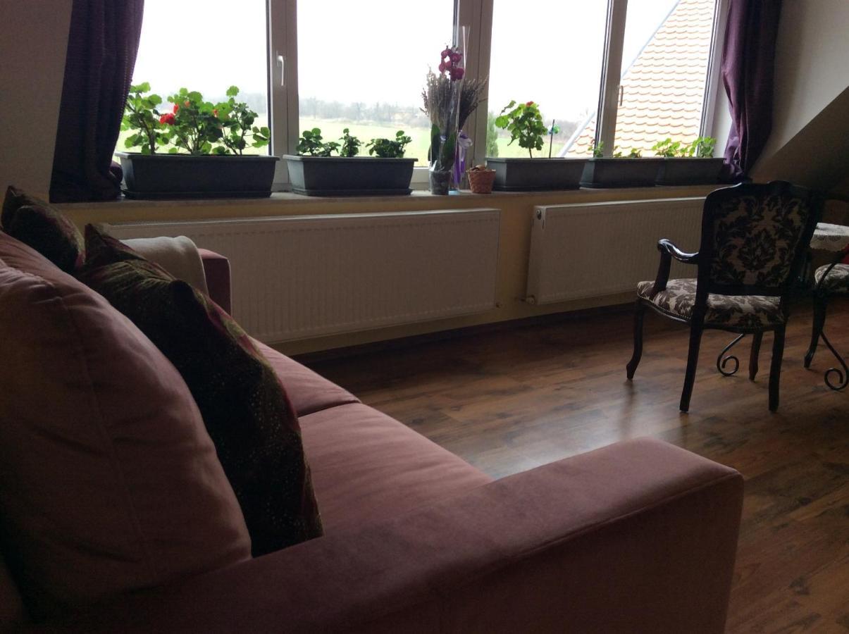 אטייק Apartments For Rent Near Budapest מראה חיצוני תמונה
