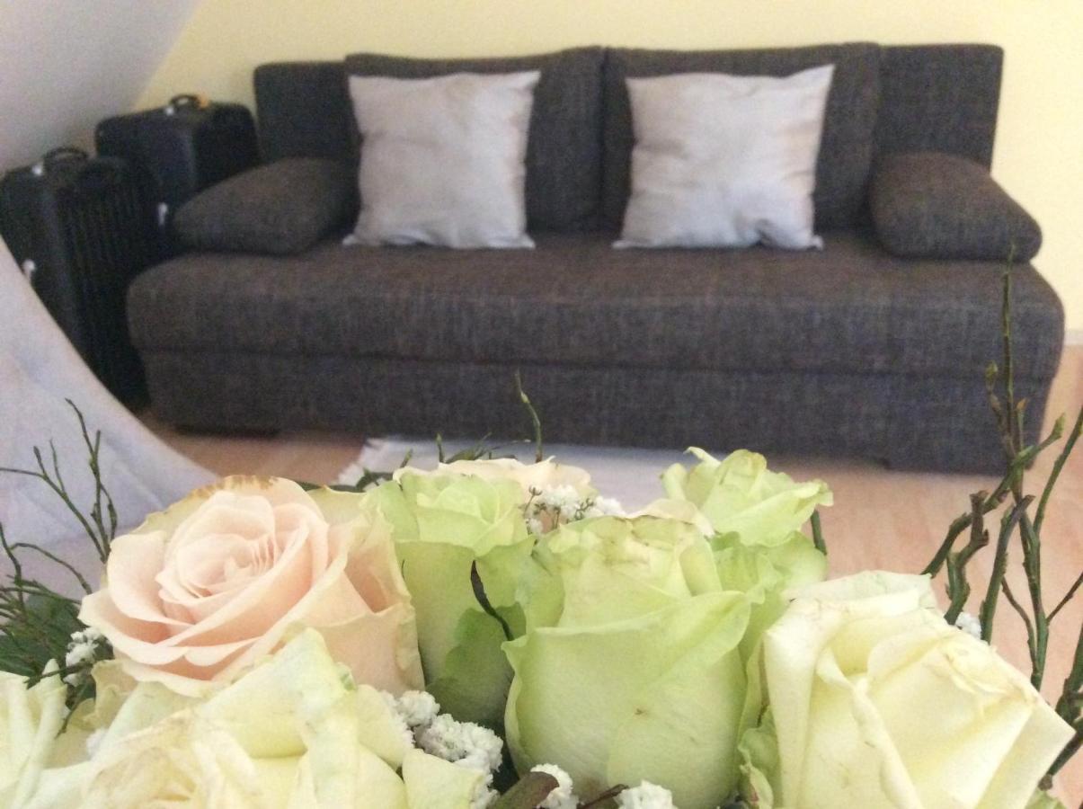 אטייק Apartments For Rent Near Budapest מראה חיצוני תמונה
